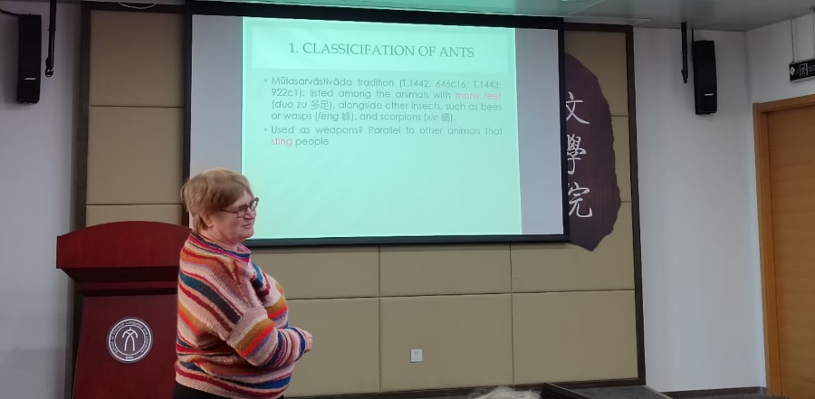 中文博彩网站